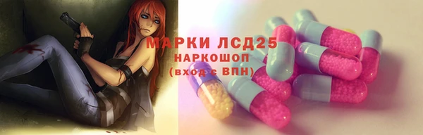 spice Арсеньев