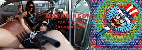 шишки Алексеевка