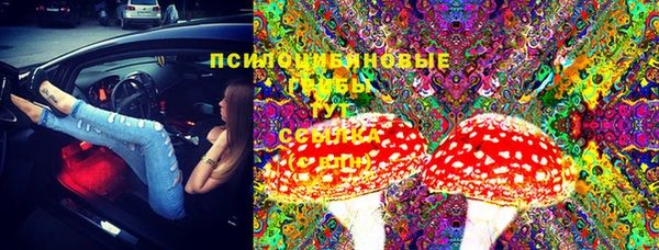 мдпв Армянск
