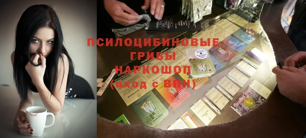 spice Арсеньев