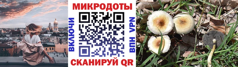 Галлюциногенные грибы мухоморы Дюртюли