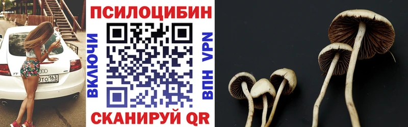 Псилоцибиновые грибы прущие грибы  Дюртюли 