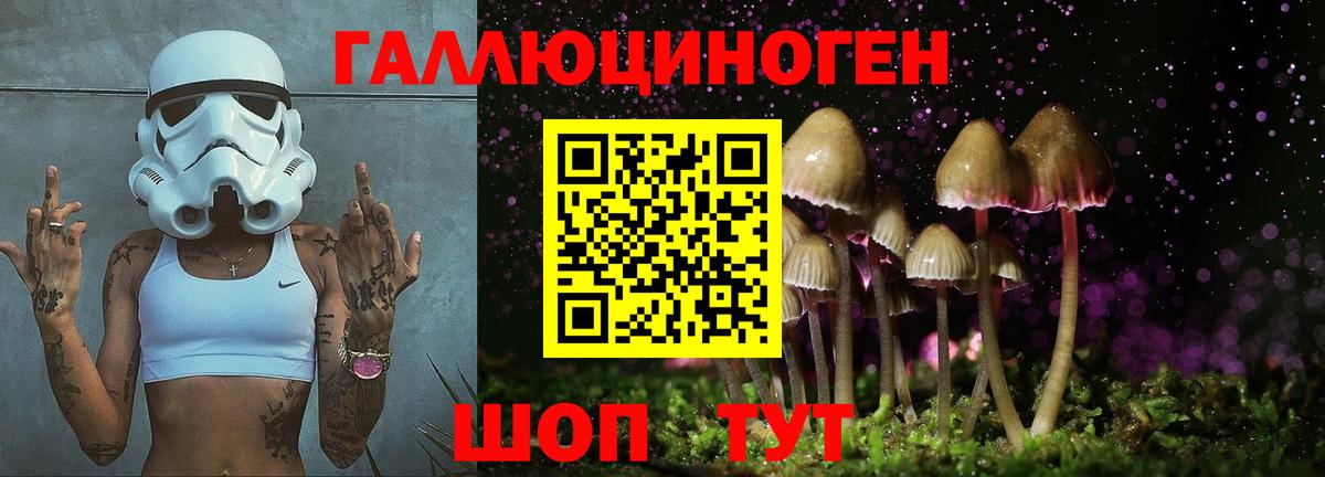 Псилоцибиновые грибы мицелий  Вход с VPN  Псилоцибиновые грибы GOLDEN TEACHER  купить закладку  Дюртюли 