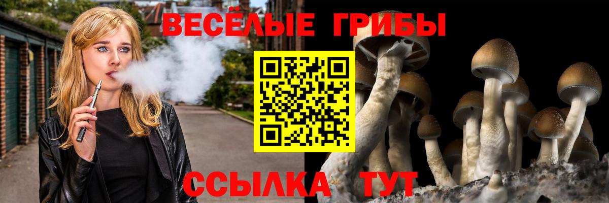 Галлюциногенные грибы мухоморы Дюртюли